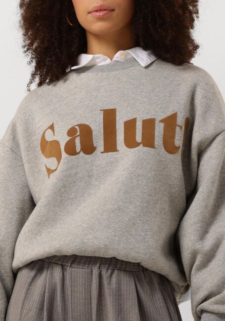 Sudadera gris SALUT