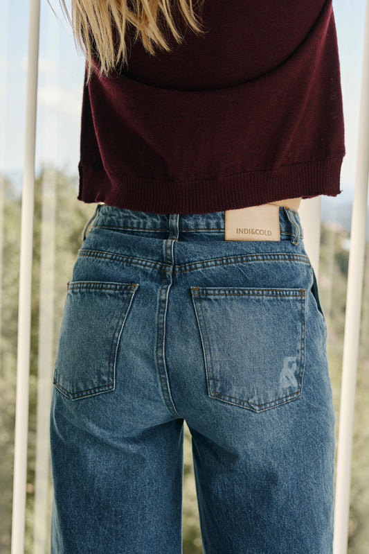 Pantalón vaquero BERNA