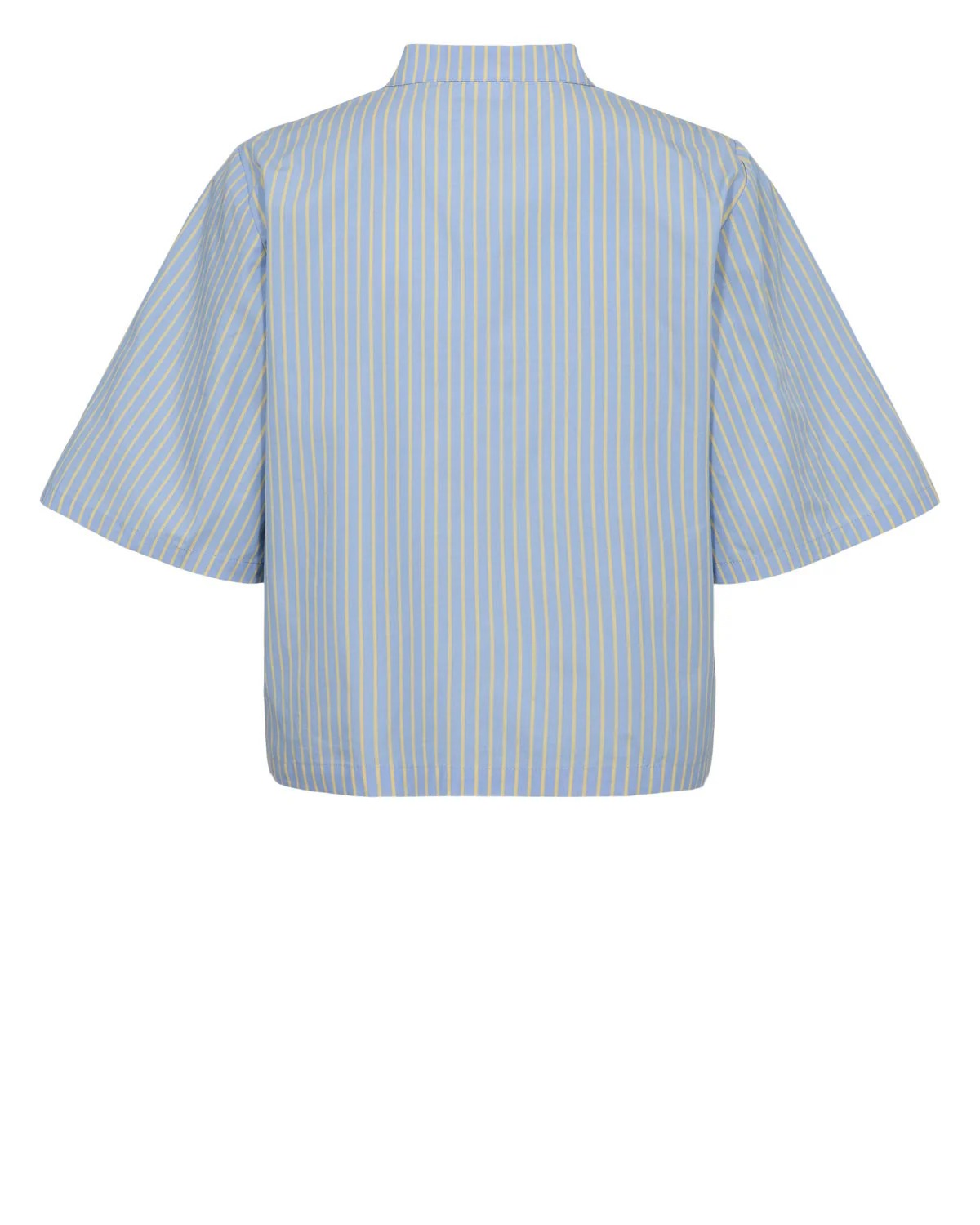 Camisa cropped bordados DELANIE