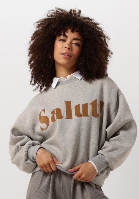 Sudadera gris SALUT
